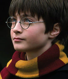 young harry potter